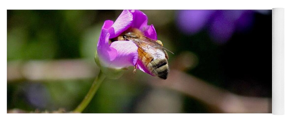 Plant Yoga Mat featuring the photograph Bashful Bee by Sarah Lilja