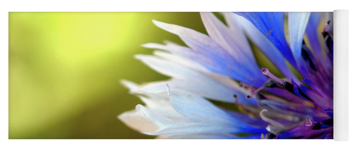 Macro.flower Yoga Mat featuring the photograph Batchelors Blue and white button by Baggieoldboy