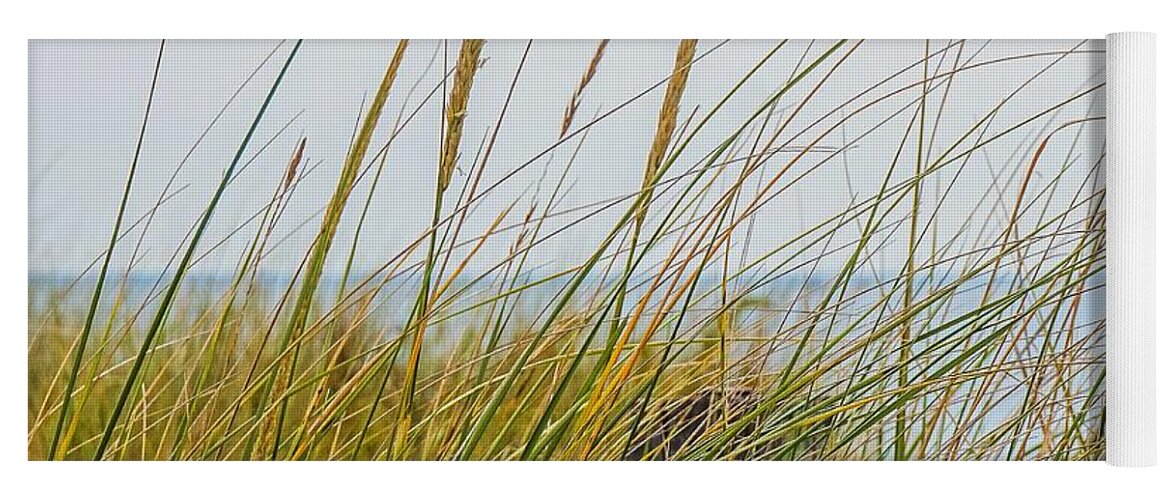  Yoga Mat featuring the photograph Beach grass by Kendall McKernon