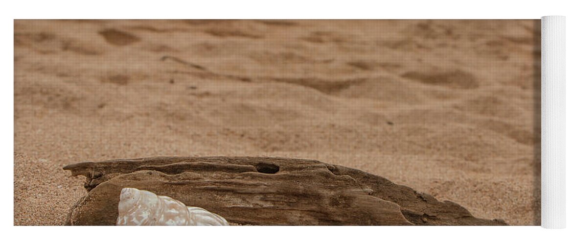 Sand Yoga Mat featuring the photograph Beach, Sand, and Shell by Teresa Wilson