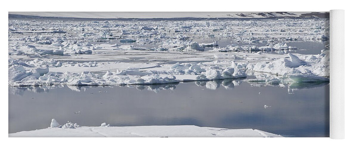 Mp Yoga Mat featuring the photograph Bearded Seal Erignathus Barbatus On Ice by Konrad Wothe