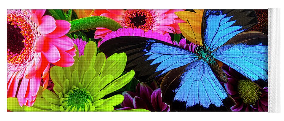Daisy Yoga Mat featuring the photograph Beautiful Blue Butterfly In Bouquet by Garry Gay