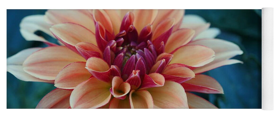 Flowers Yoga Mat featuring the photograph Beautiful Dahlia 4 by Dimitry Papkov