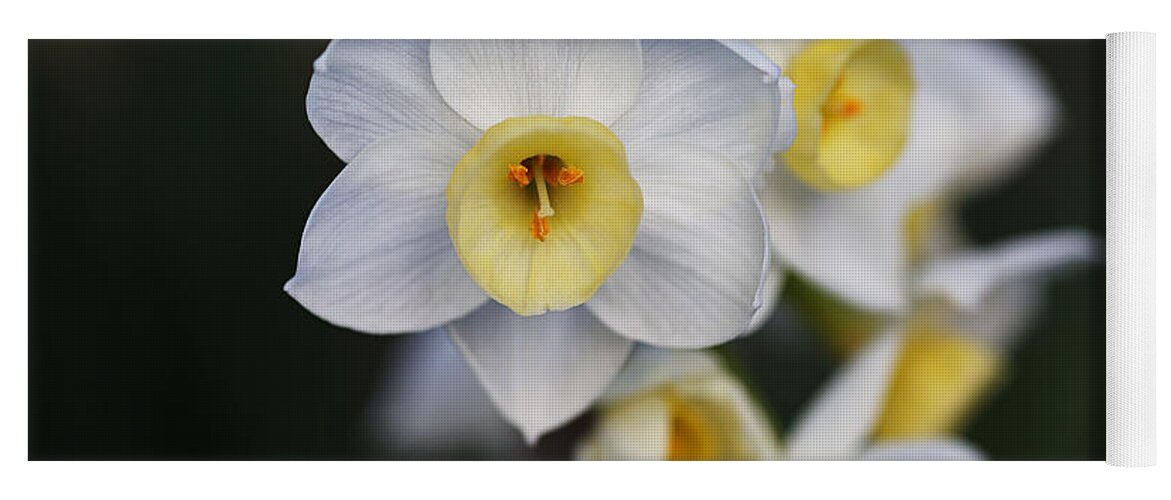 Beautiful Yoga Mat featuring the photograph Beautiful In White Jonquil Flowers by Joy Watson
