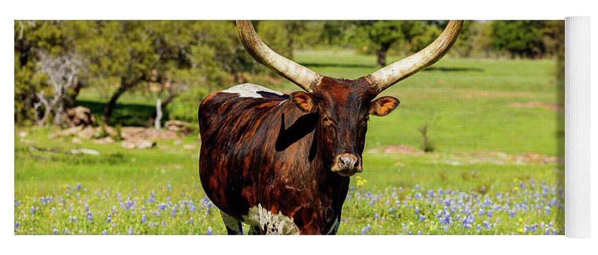 African Breed Yoga Mat featuring the photograph Beautiful longhorn bull by Raul Rodriguez