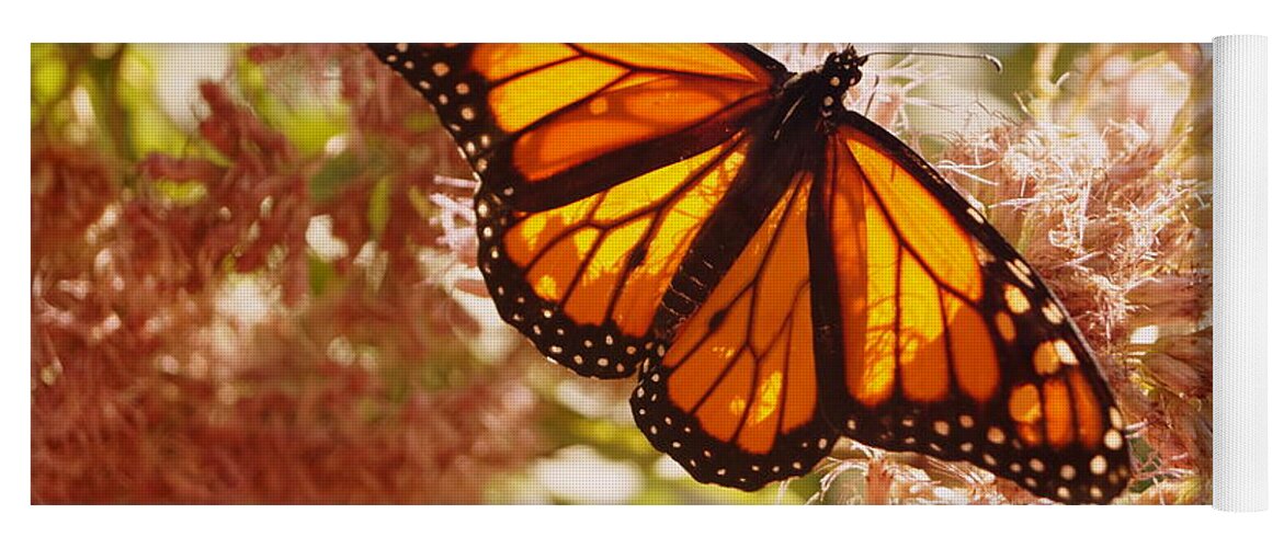 Butterfly Yoga Mat featuring the photograph Beautiful Monarch by Beth Collins