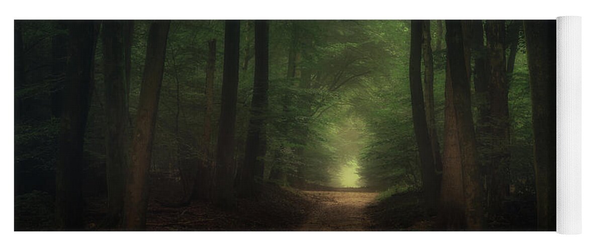 Autumn Yoga Mat featuring the photograph Beautiful morning in Speulderbos forest by Tim Abeln