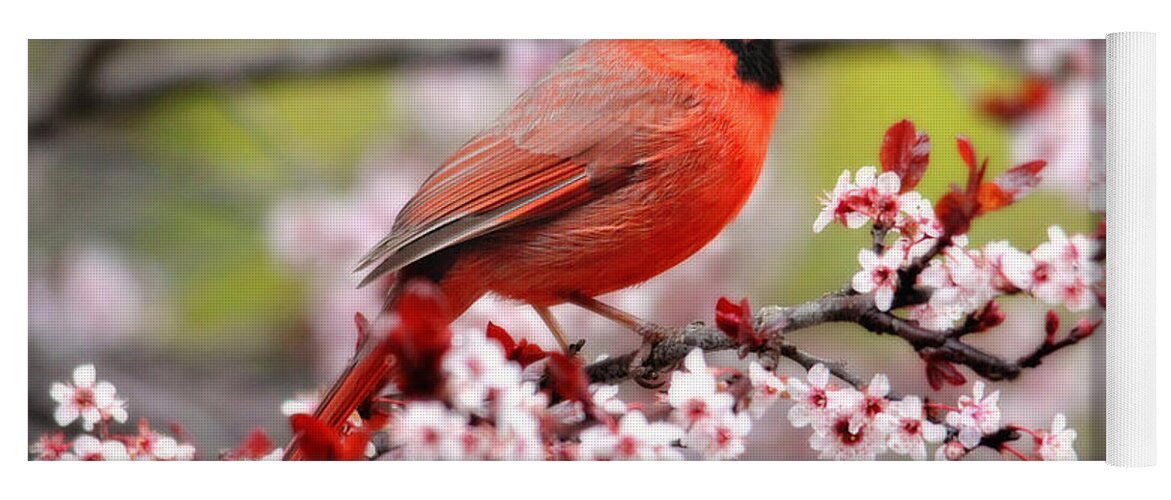 Birds Yoga Mat featuring the photograph Beautiful Northern Cardinal by Trina Ansel