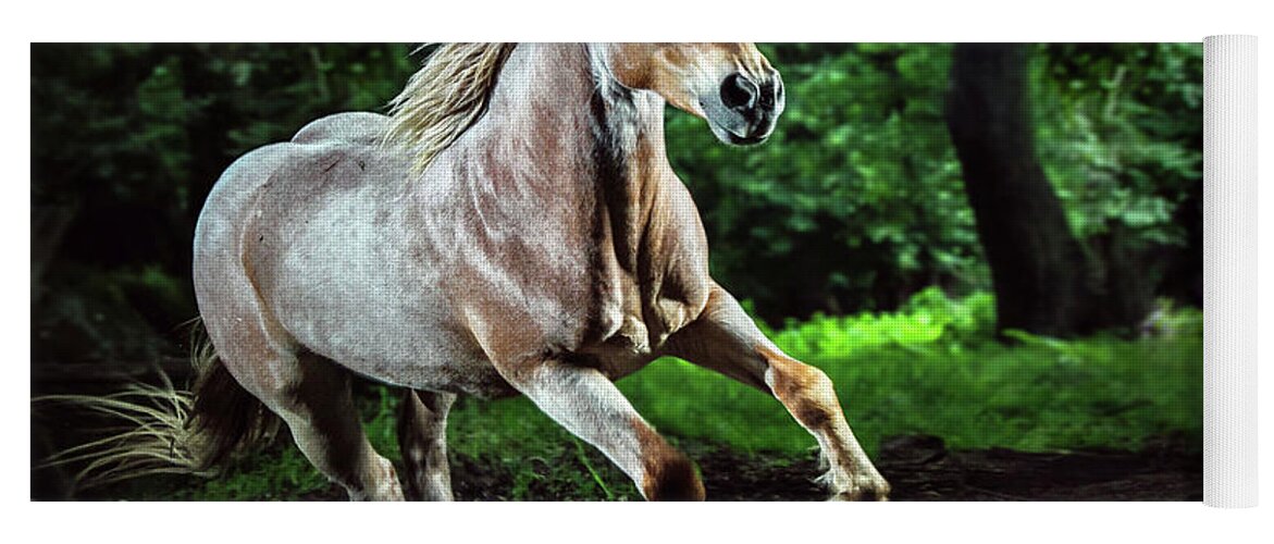 Red sorrel wild Mustang horse Yoga Mat by Waterdancer - Waterdancer -  Artist Website