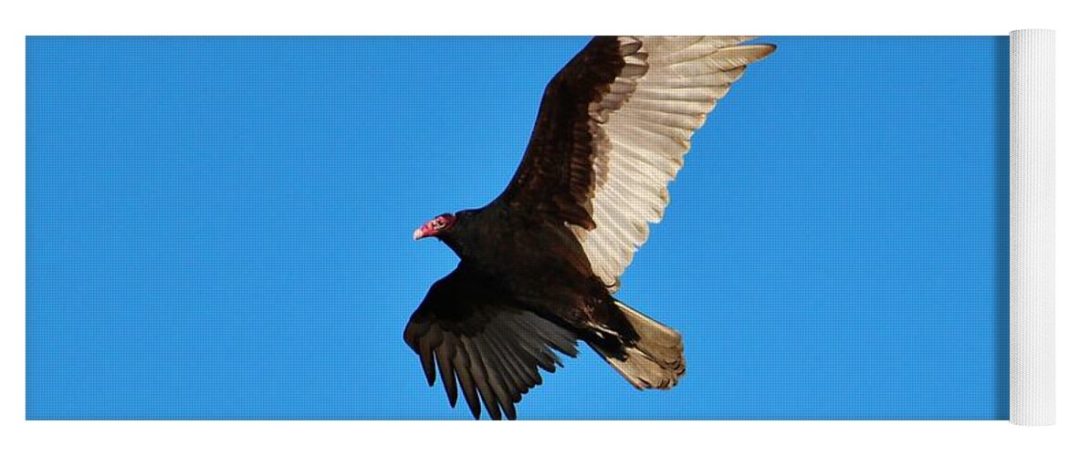 Turkey Vulture Yoga Mat featuring the photograph Beautiful Wings by Cynthia Guinn