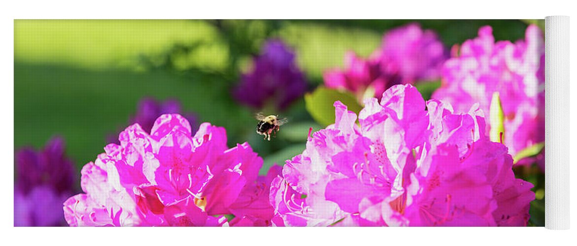 Bee Yoga Mat featuring the photograph Bee Flying Over Catawba Rhododendron by D K Wall