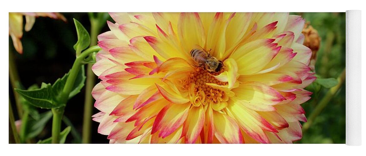 Bee Yoga Mat featuring the photograph Bee In The Middle by Brian Eberly