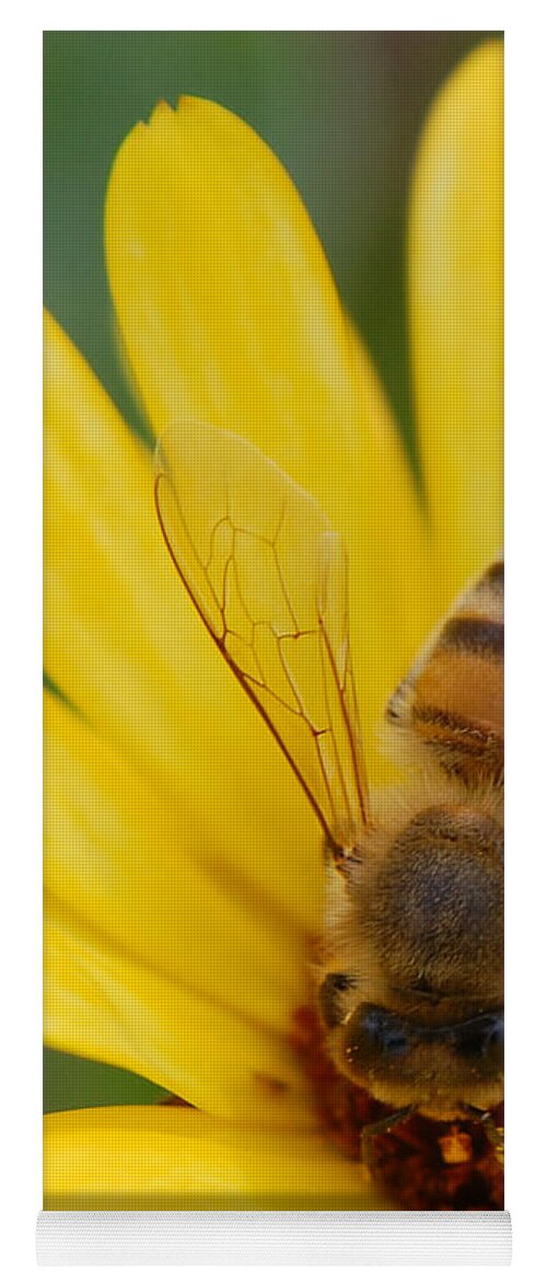 Bee Yoga Mat featuring the photograph Bee on flower by Amy Fose