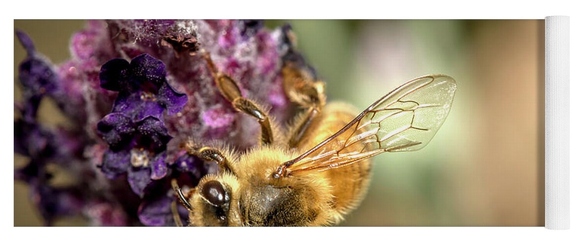 2017 Yoga Mat featuring the photograph Bee on Lavender by Shawn Jeffries