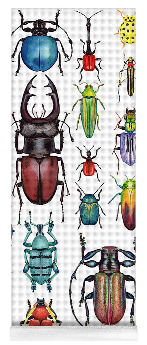 Bugs Yoga Mat featuring the painting Beetle Collection by Kelly King