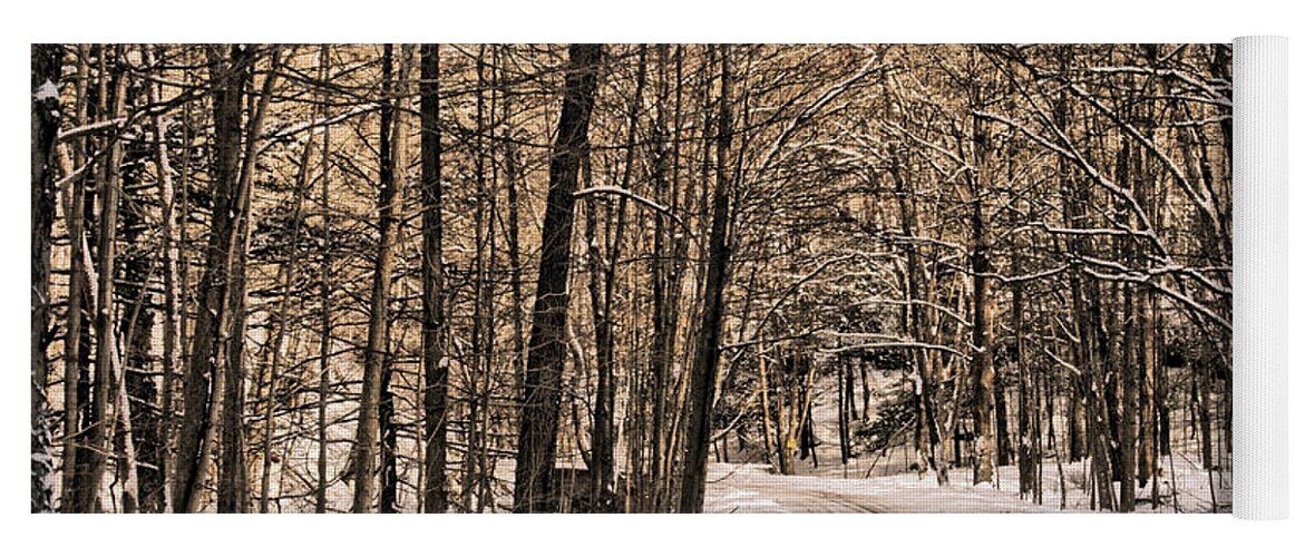 Winter Yoga Mat featuring the photograph Bend in the Road by Onedayoneimage Photography