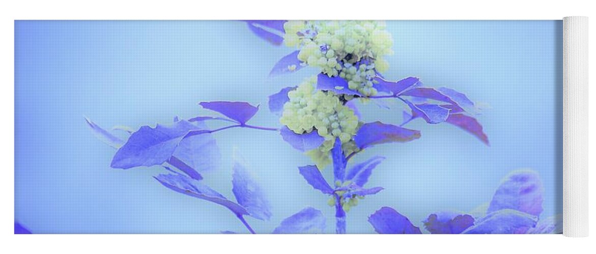 Floral Yoga Mat featuring the photograph Berries on blue by Merle Grenz