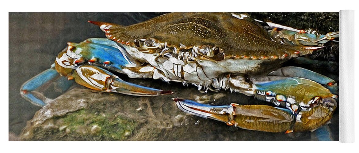 Crab Yoga Mat featuring the photograph Big Blue by Kathy Baccari
