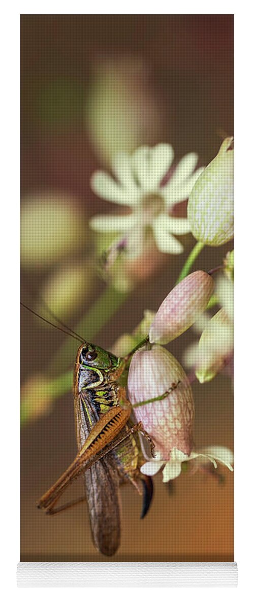 Macro Yoga Mat featuring the photograph Big grasshopper on white flowers by Jaroslaw Blaminsky