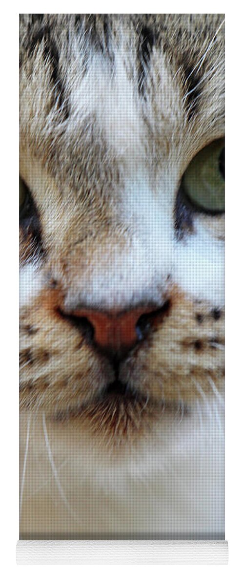 Cat Yoga Mat featuring the photograph Big Green Eyes by Munir Alawi