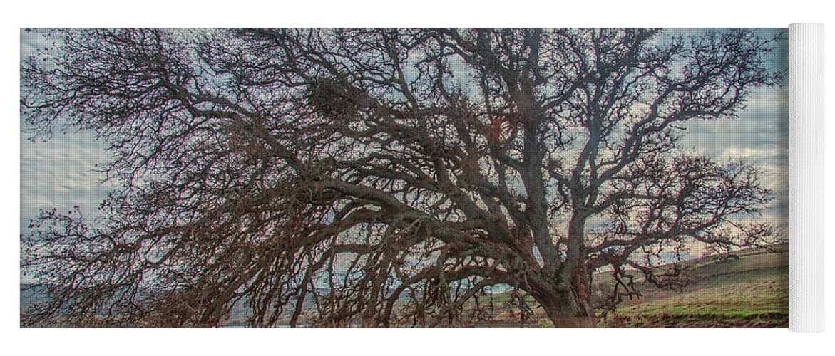 Landscape Yoga Mat featuring the photograph Big Oak in Water by Marc Crumpler