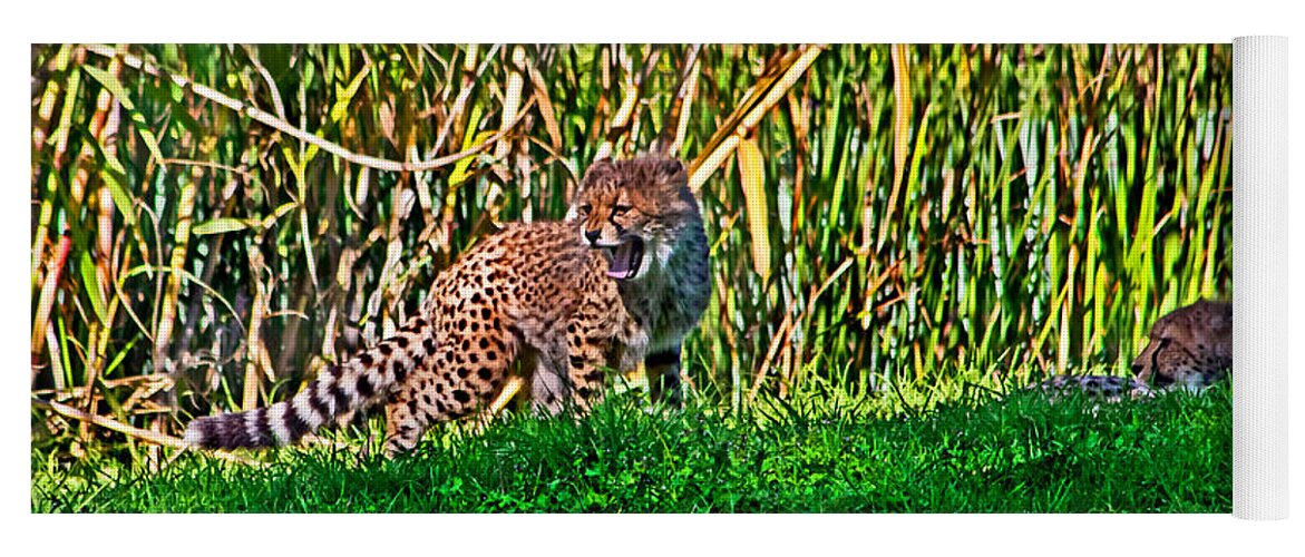 #cheetah Yoga Mat featuring the photograph Big yawn by little cub by Miroslava Jurcik