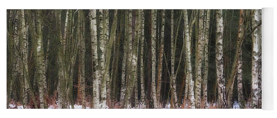 Season Yoga Mat featuring the photograph Birches in the snow by Shirley Mitchell