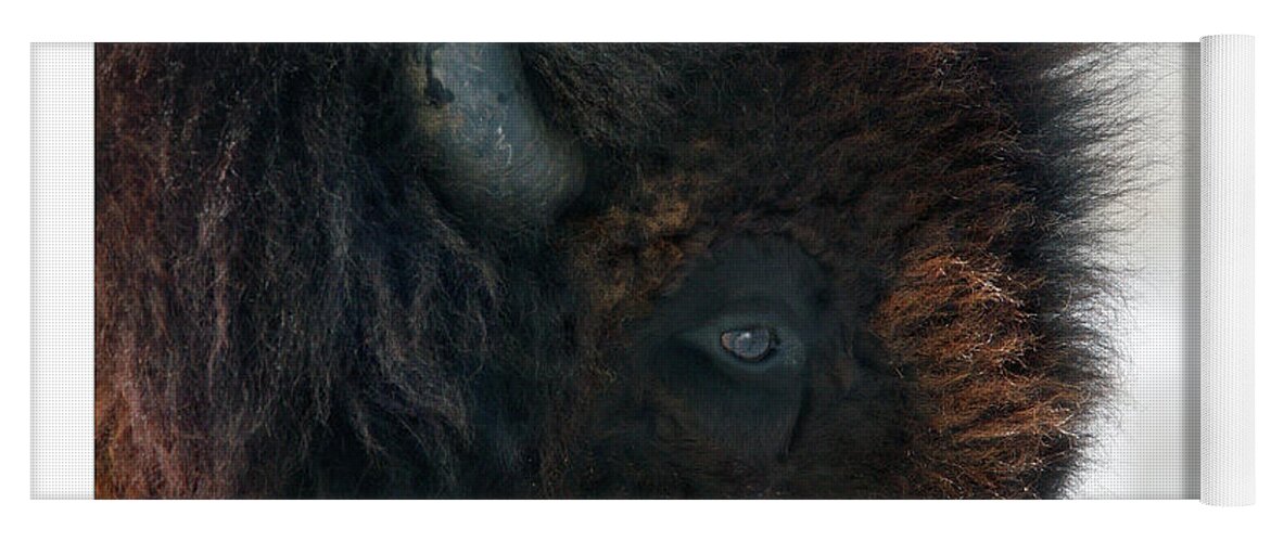 Bison Yoga Mat featuring the photograph Bison Bull's Eye by Bruce Morrison