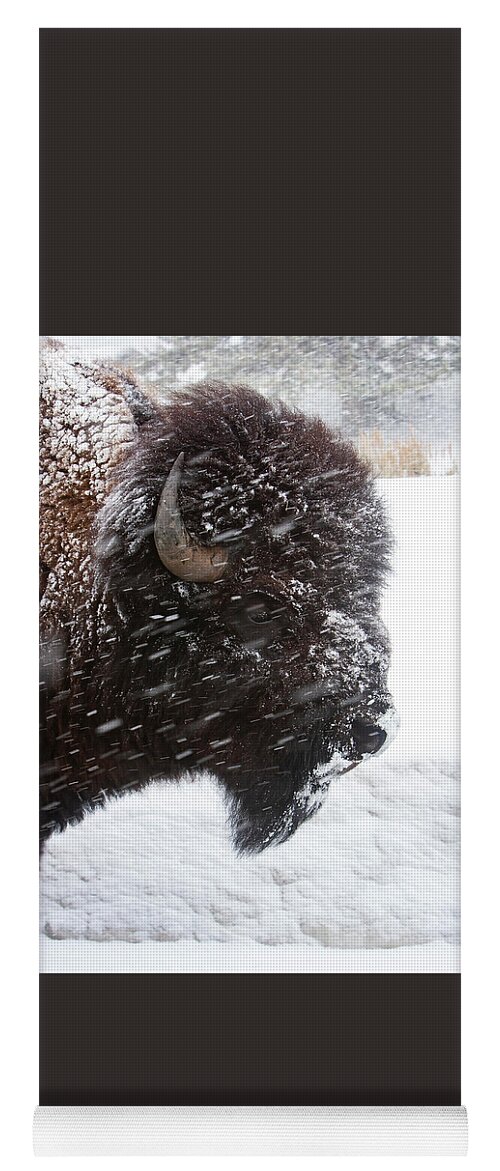 Bison Yoga Mat featuring the photograph Bison in Snow by Mark Miller