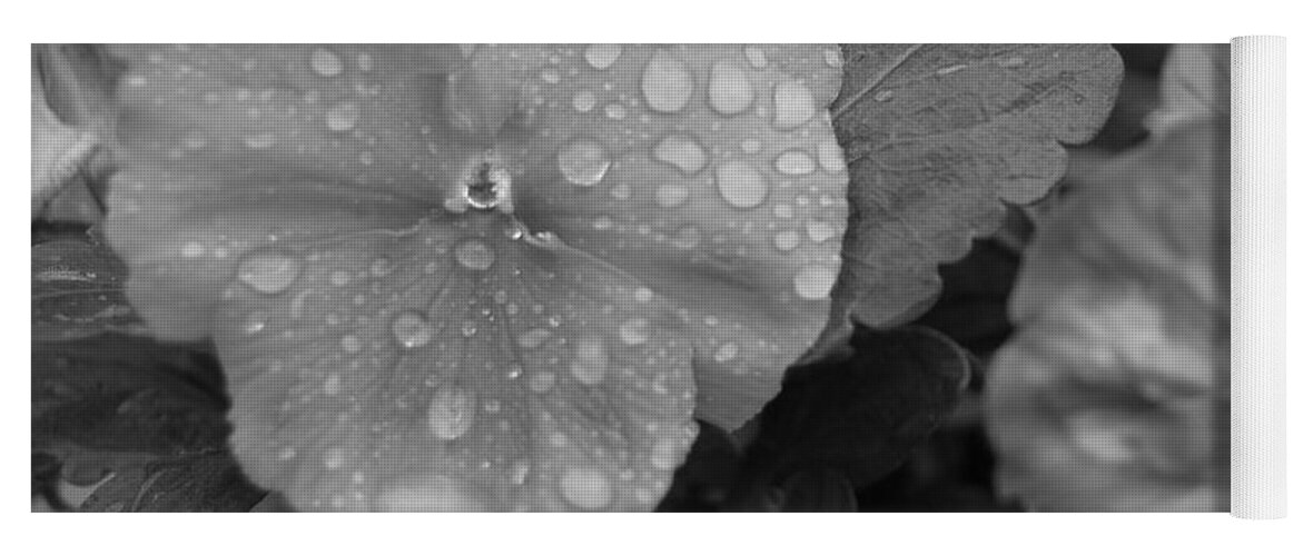 Flower Yoga Mat featuring the photograph Black and White Dewy Pansy 1 by Amy Fose