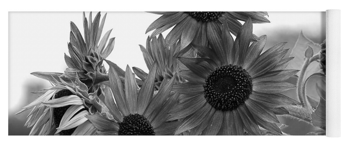 Flower Yoga Mat featuring the photograph Black and White Sunflowers by Amy Fose