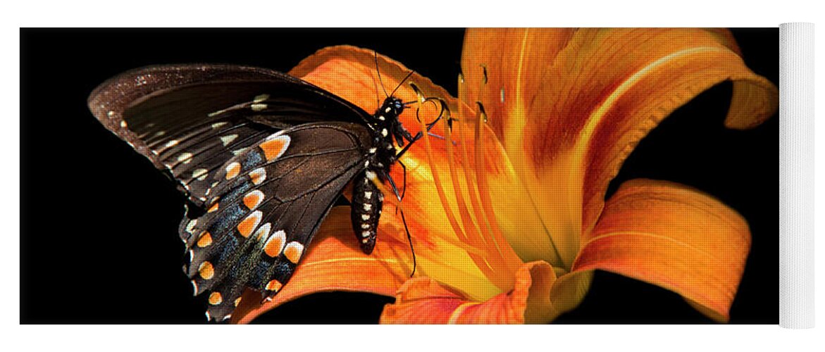 Butterfly Yoga Mat featuring the photograph Black Beauty Butterfly by Christina Rollo