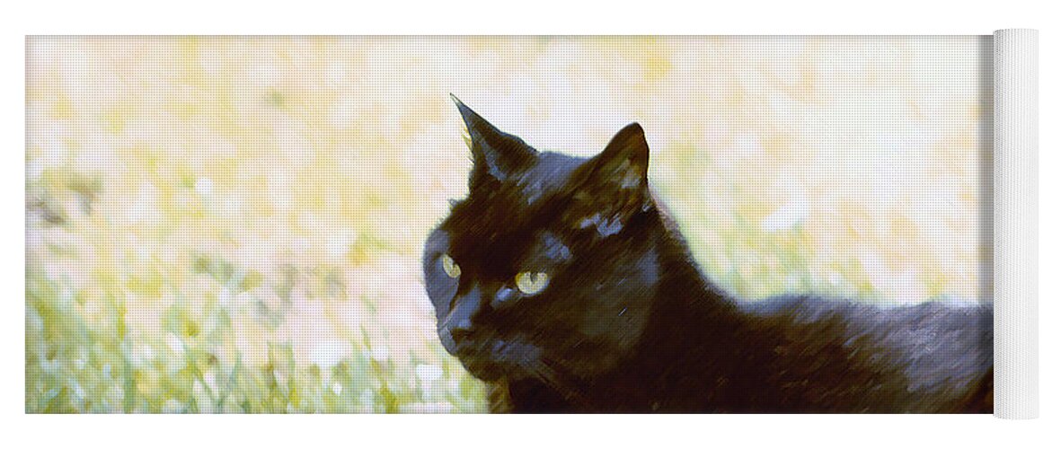 Black Cat Yoga Mat featuring the photograph Black Cat in the Sun by Geoff Jewett