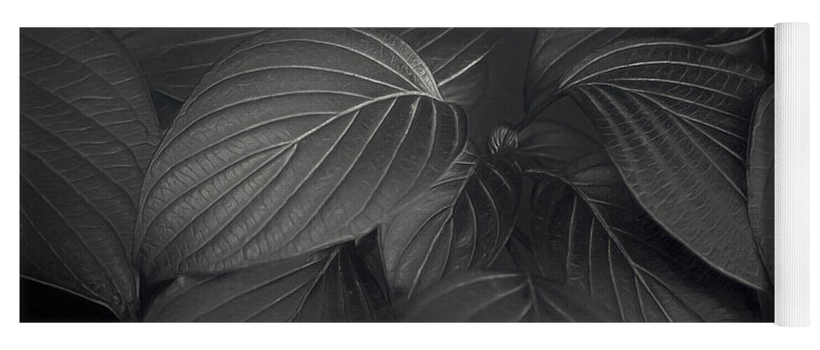 Leaf Yoga Mat featuring the photograph Black Leaves by Scott Norris
