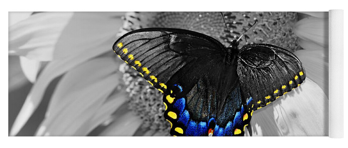 Butterfly Yoga Mat featuring the photograph Black Swallowtail and Sunflower Color Splash by Eric Liller