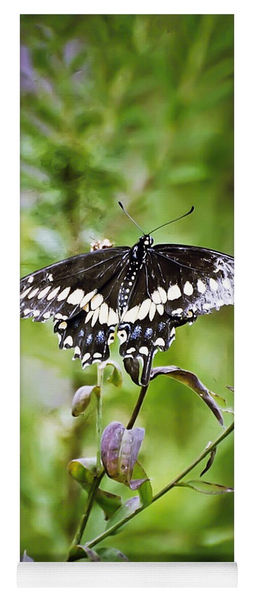 Black Swallowtail Butterfly Yoga Mat featuring the photograph Black Swallowtail Butterfly by Kerri Farley