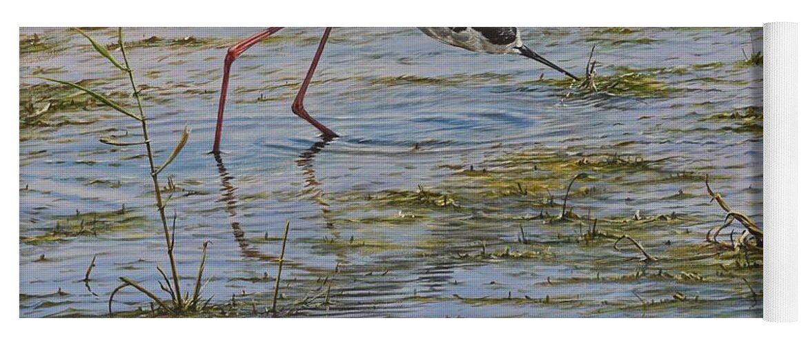 Wildlife Paintings Yoga Mat featuring the painting Black WInged Stilt by Alan M Hunt