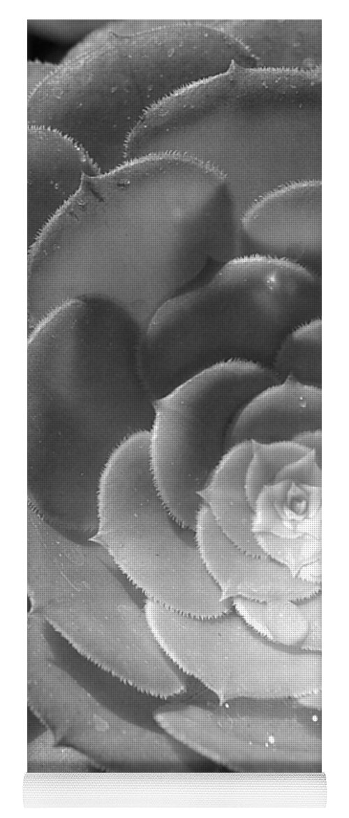 Flower Yoga Mat featuring the photograph Blackand White Cabbage Cactus by Amy Fose