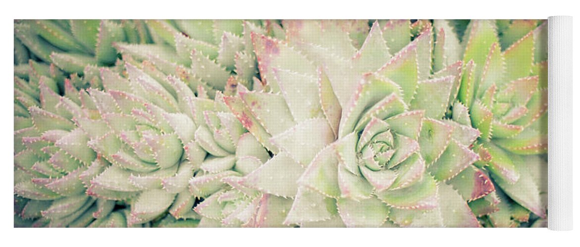 Plants Yoga Mat featuring the photograph Blanket of Succulents by Ana V Ramirez