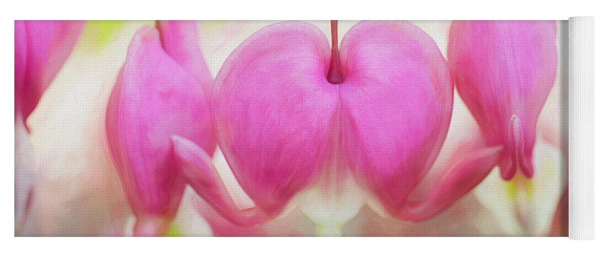 Bleeding Heart Yoga Mat featuring the photograph Bleeding Hearts by Cindi Ressler