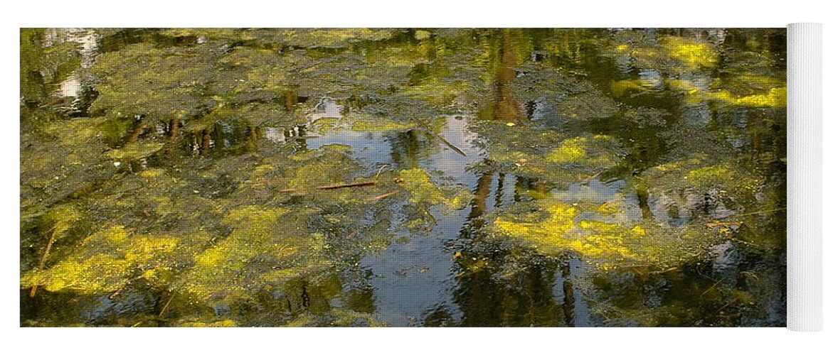 Green Yoga Mat featuring the photograph Blooming Water by Dariusz Gudowicz