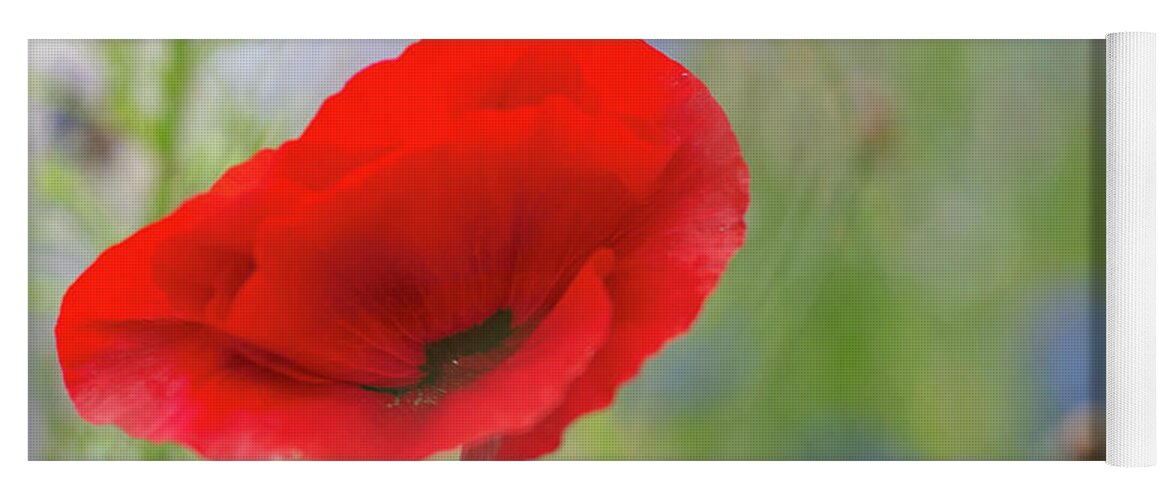 Poppy Yoga Mat featuring the photograph Blowing Poppy by Kathy Paynter