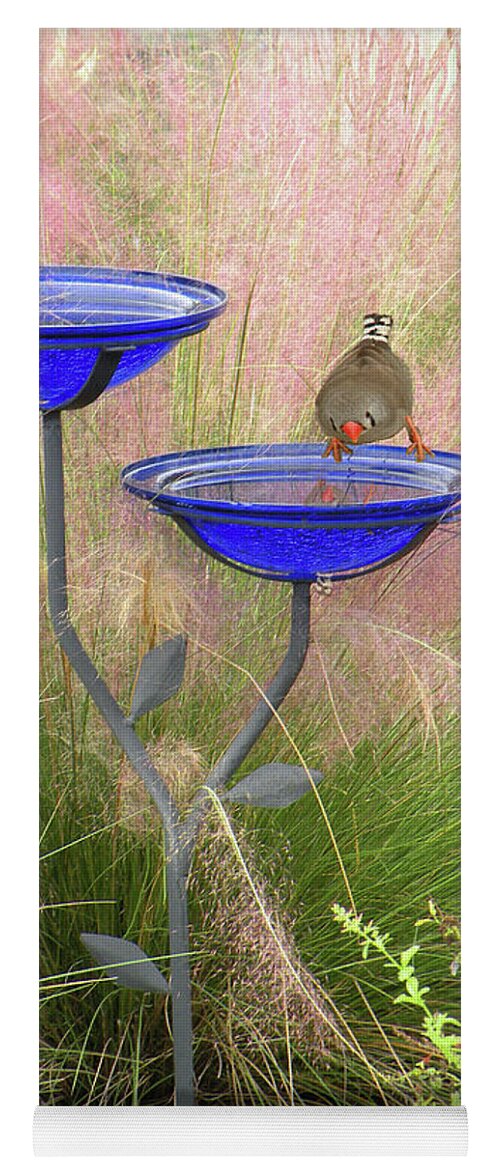Baths Yoga Mat featuring the photograph Blue Bird Bath by Rosalie Scanlon