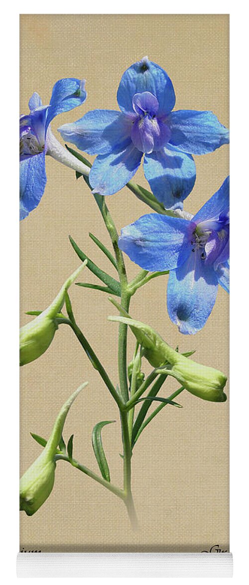 Flower Yoga Mat featuring the digital art Blue Butterfly Delphinium by M Spadecaller