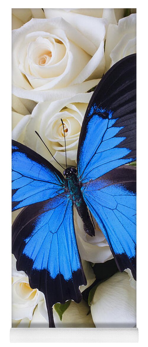 Berg Vesuvius Bully Medicinaal Blue butterfly on white roses Yoga Mat by Garry Gay - Fine Art America