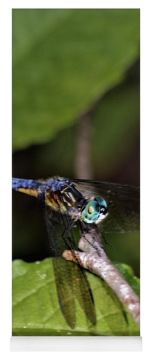 Blue Dasher Dragonfly Yoga Mat featuring the photograph Blue Dasher Dragonfly by Warren Thompson