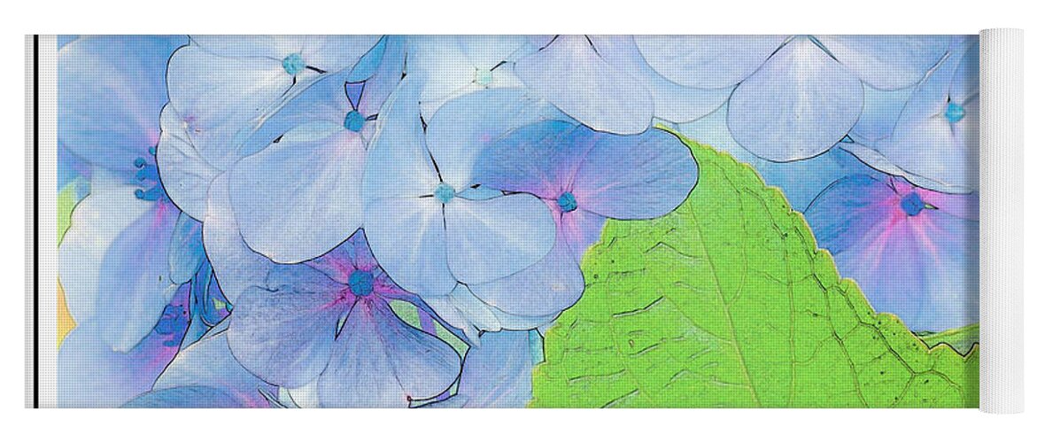Flower Yoga Mat featuring the photograph Blue Flowers by Will Wagner