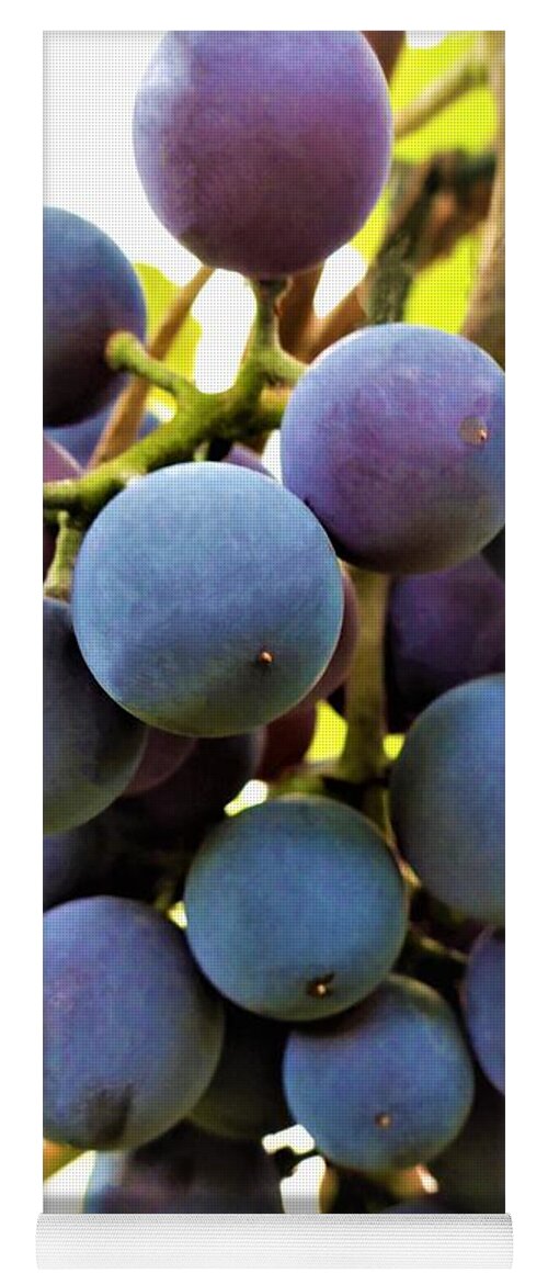 Grapes Yoga Mat featuring the photograph Blue Grapes by Cristina Stefan