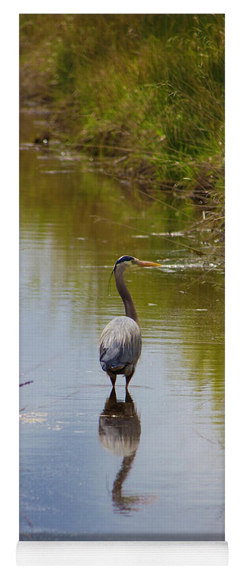 Blue Heron In Stream Yoga Mat featuring the photograph Blue Heron in Stream 2 by Donna L Munro