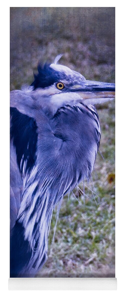 Bird Yoga Mat featuring the photograph Blue Heron Portrait by Ella Kaye Dickey